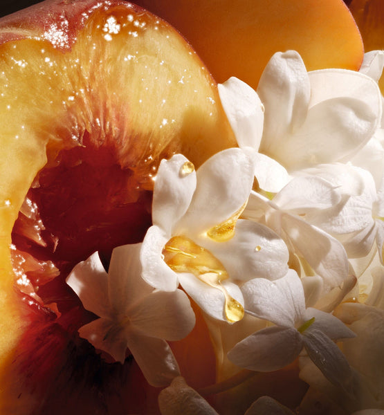 Load image into Gallery viewer, JASMIN DES ANGES