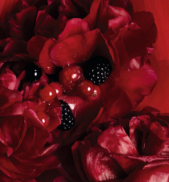 Galeri görüntüleyicisine resim yükle, ROUGE TRAFALGAR