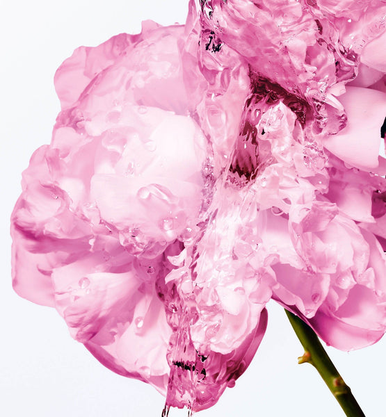 Load image into Gallery viewer, MISS DIOR COMFORTING BODY MILK WITH ROSE WAX