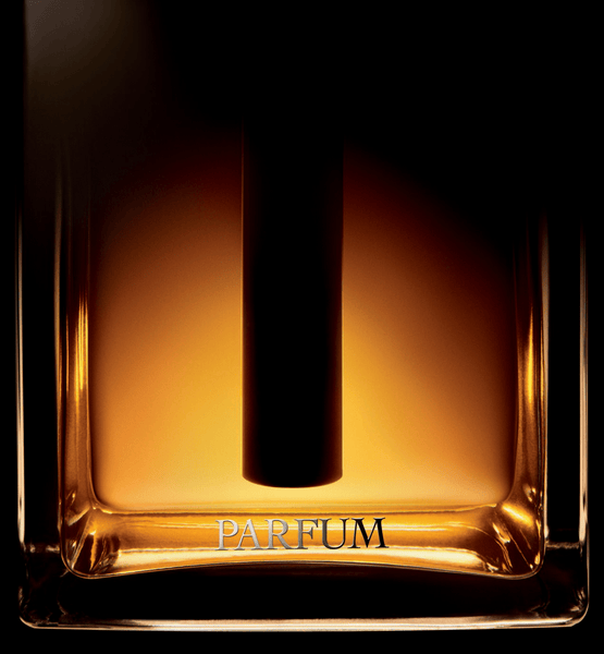 Load image into Gallery viewer, DIOR HOMME PARFUM