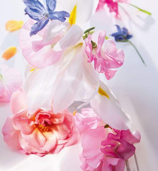 Load image into Gallery viewer, MISS DIOR EAU DE PARFUM