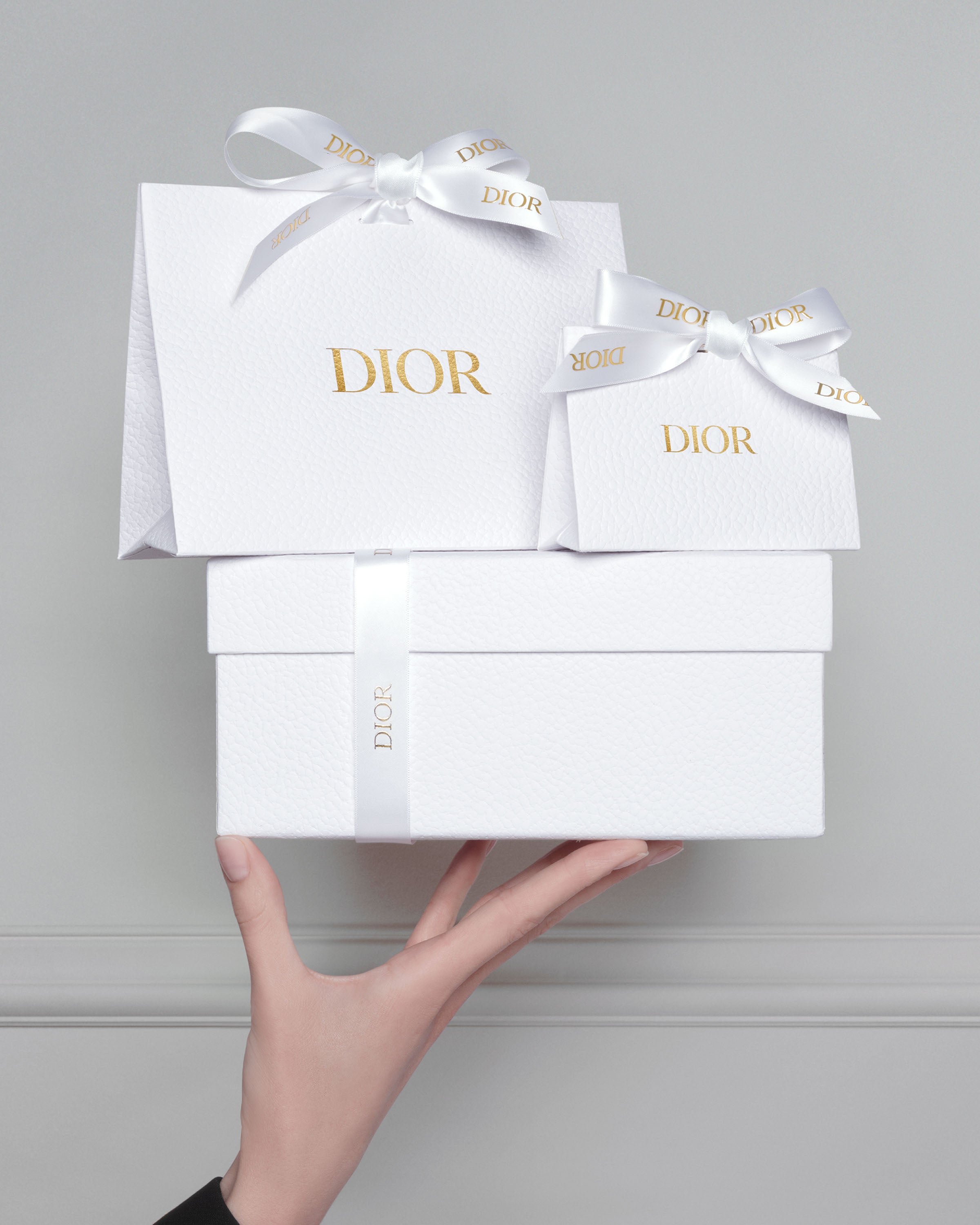 Dior official website DIOR TR