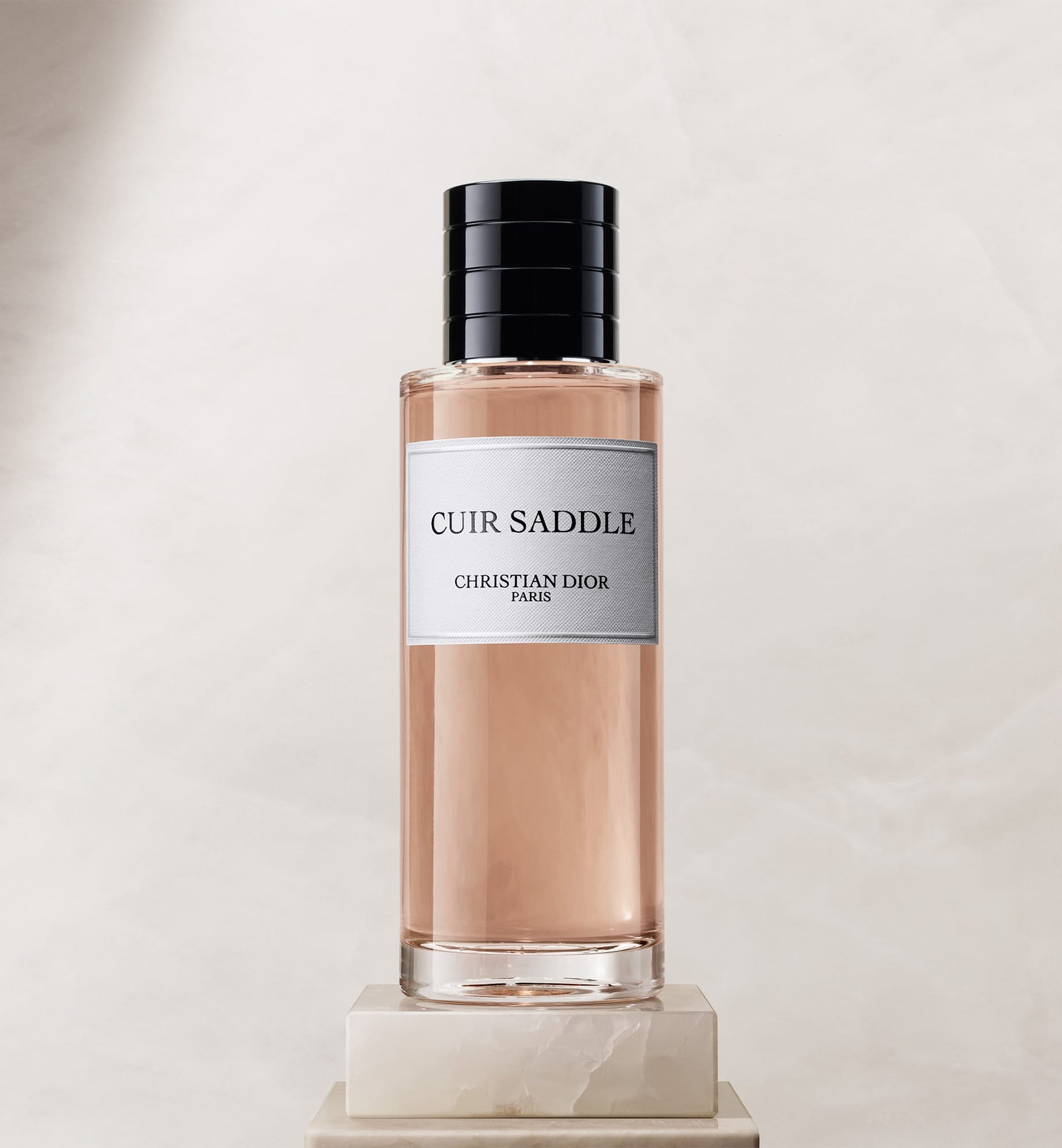 Christian Dior CUIR SADDLE 香水 CUIR SADDLE | DIOR TR