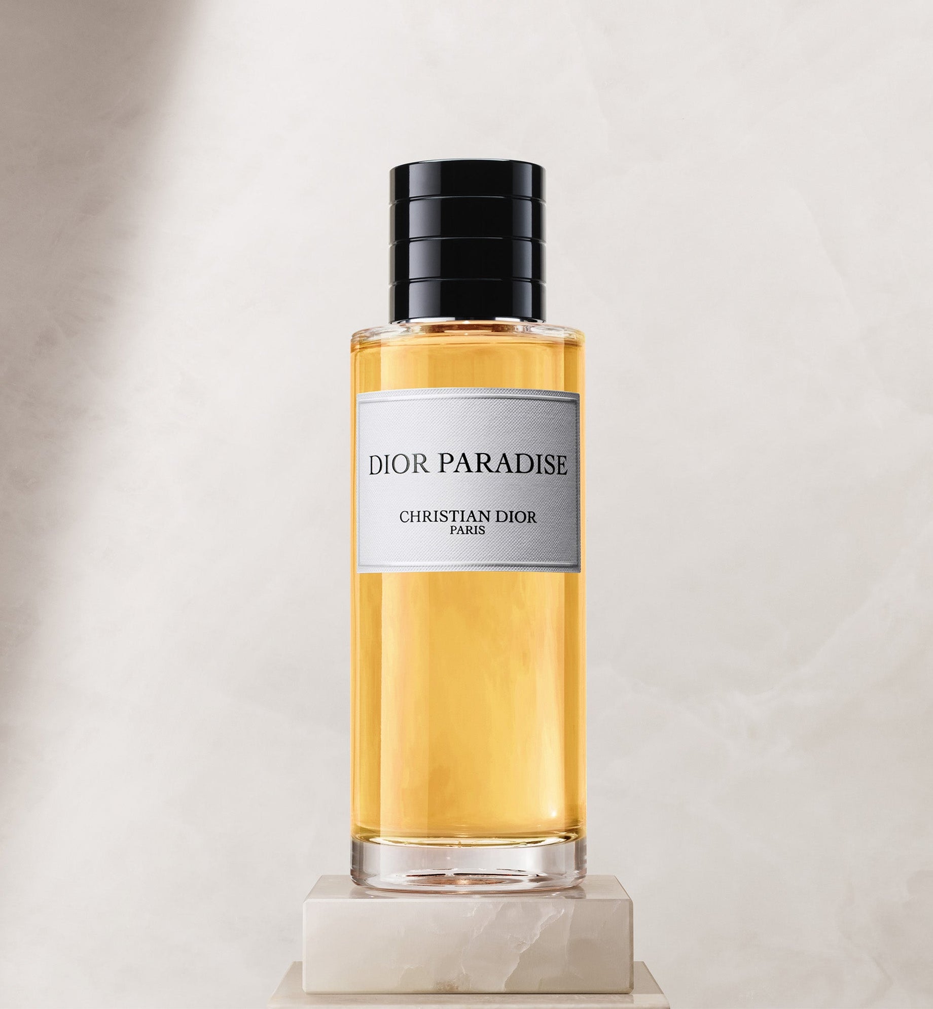 DIOR PARADISE | DIOR TR
