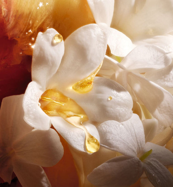 Galeri görüntüleyicisine resim yükle, MOISTURIZING LOTION
