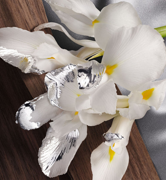 Galeri görüntüleyicisine resim yükle, MOISTURIZING LOTION
