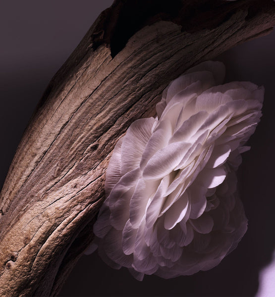 Galeri görüntüleyicisine resim yükle, MOISTURIZING LOTION
