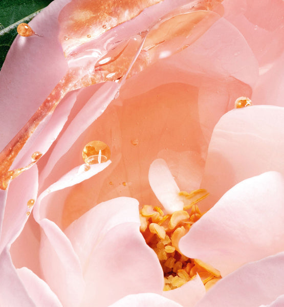 Galeri görüntüleyicisine resim yükle, SCENTED SOAP
