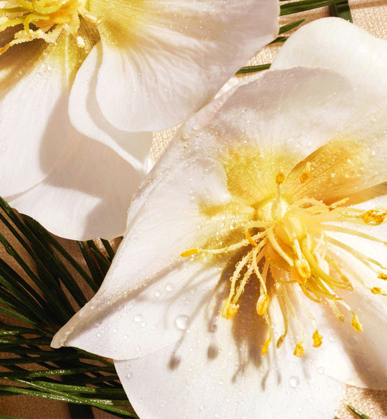Galeri görüntüleyicisine resim yükle, SCENTED SOAP

