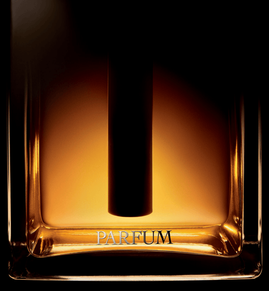 Load image into Gallery viewer, DIOR HOMME PARFUM
